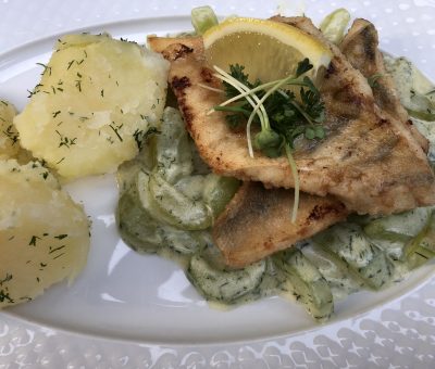 IMG_6522-400x340
